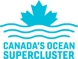 Ocean Supercluster logo representing successful fractional CFO leadership with SeasonedPros.