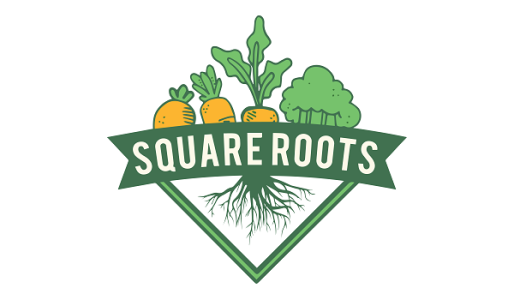 Square-Roots-Bundle-For-Social