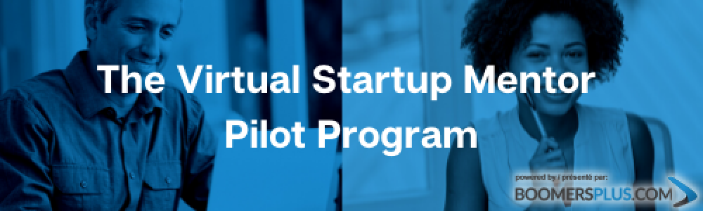 The Virtual Startup Mentor Program (1)